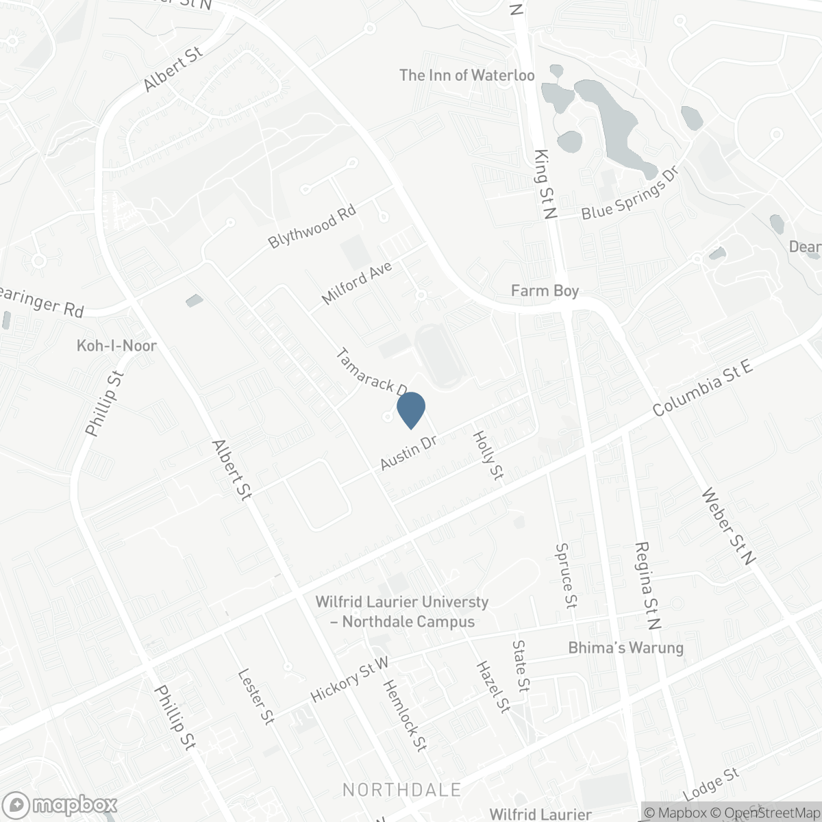 391 TAMARACK DRIVE, Waterloo, Ontario N2L 4G7
